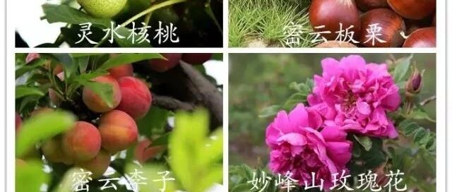 又一封辞职信火了！北京已传疯！