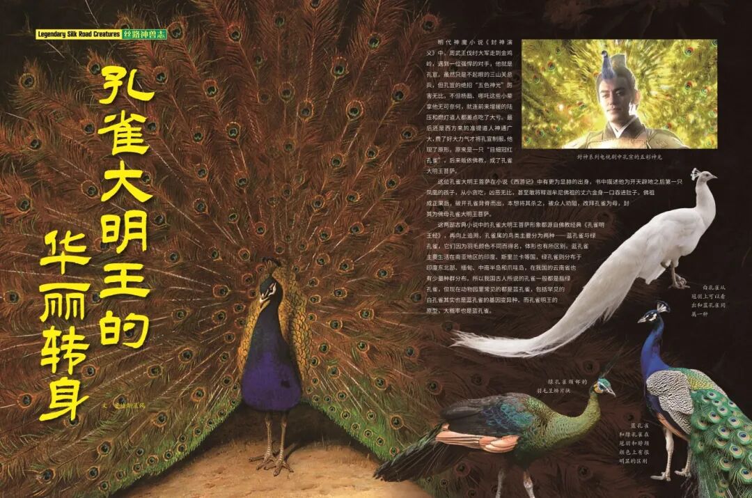 11.《孔雀大明王的华丽转身》.jpg