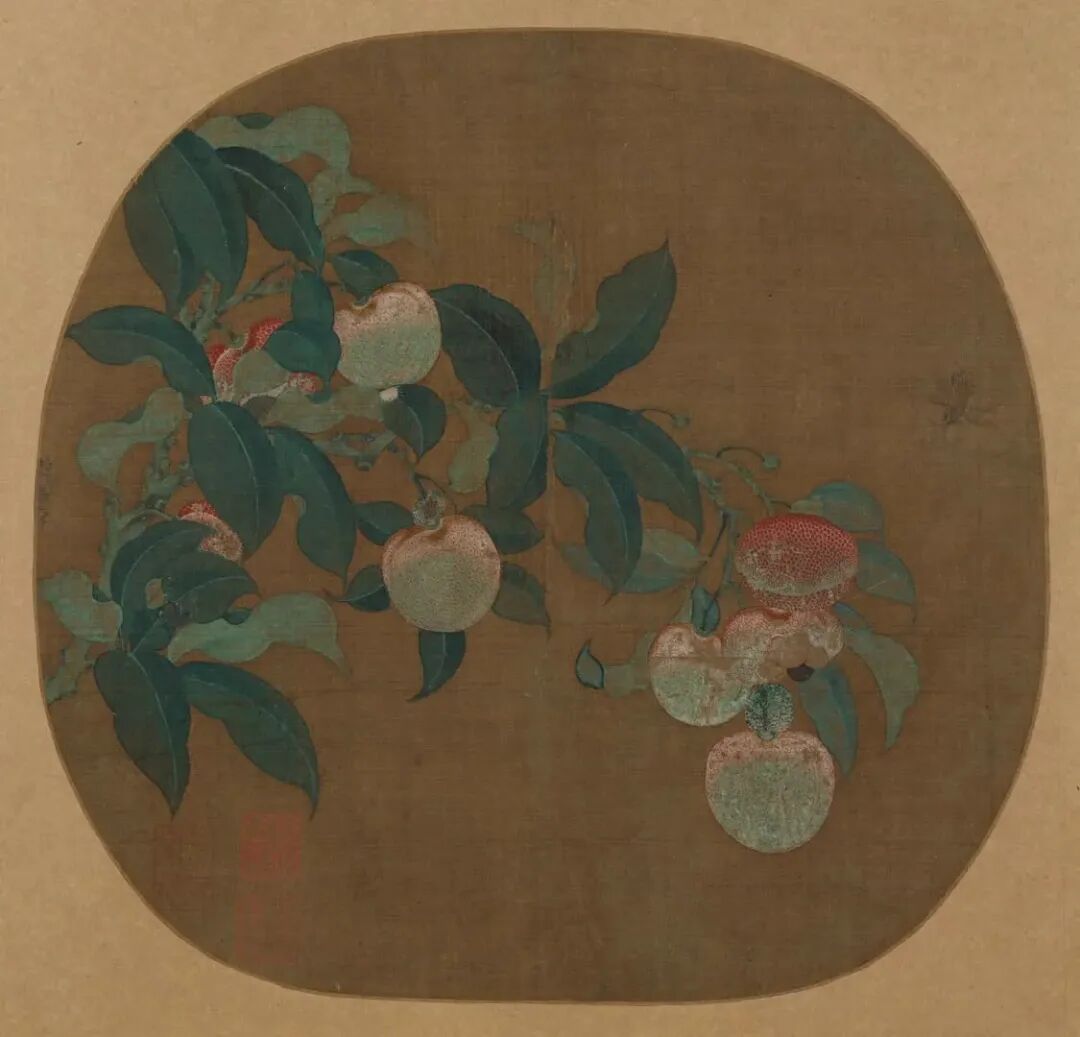 2.宋代荔枝图（上海博物馆藏）.jpg