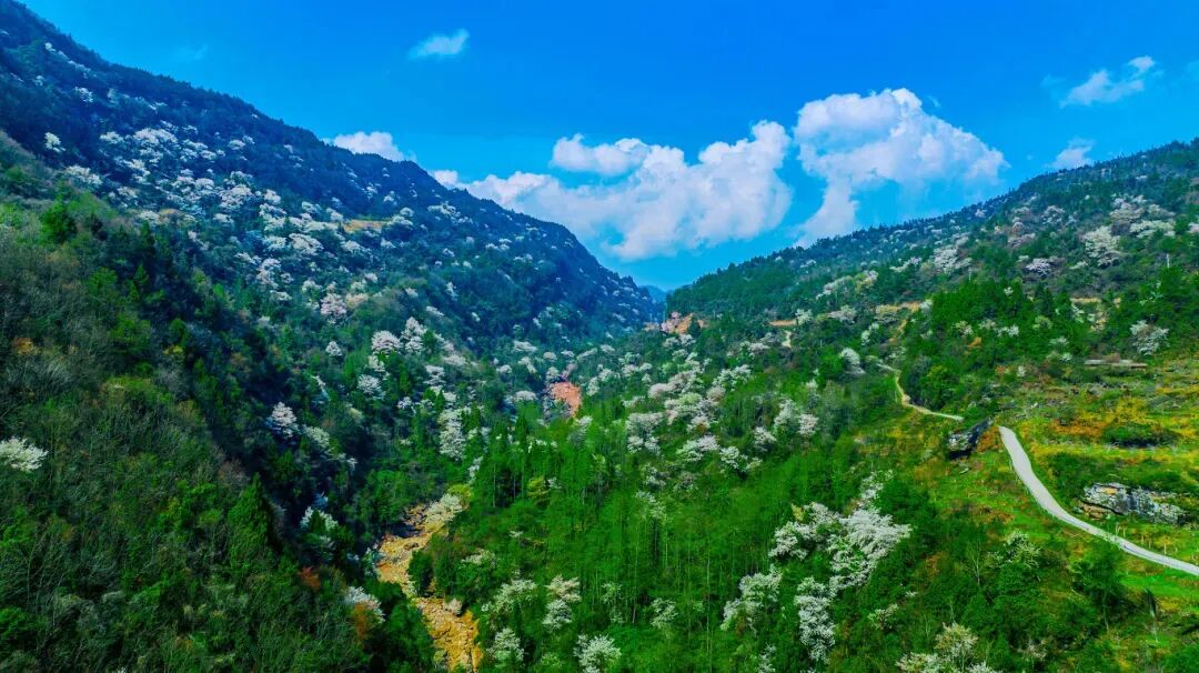 春假去哪儿？当然是来四川宣汉解锁亲子踏青新方式