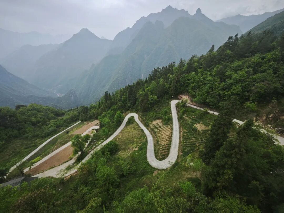 巴东观鸟续前缘