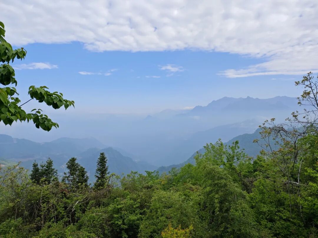 巴东观鸟续前缘