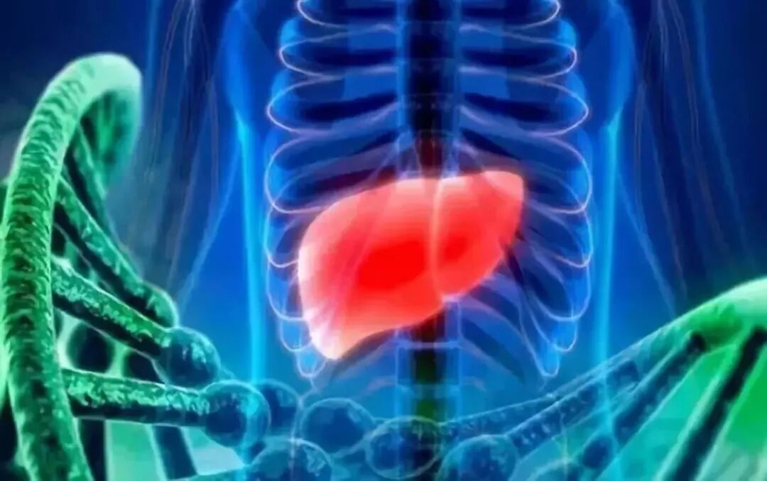 腹腔镜都有什么品牌德国艾克松XION｜｜超高清3D／4K腹腔镜系统_https://www.jmylbn.com_新闻资讯_第7张