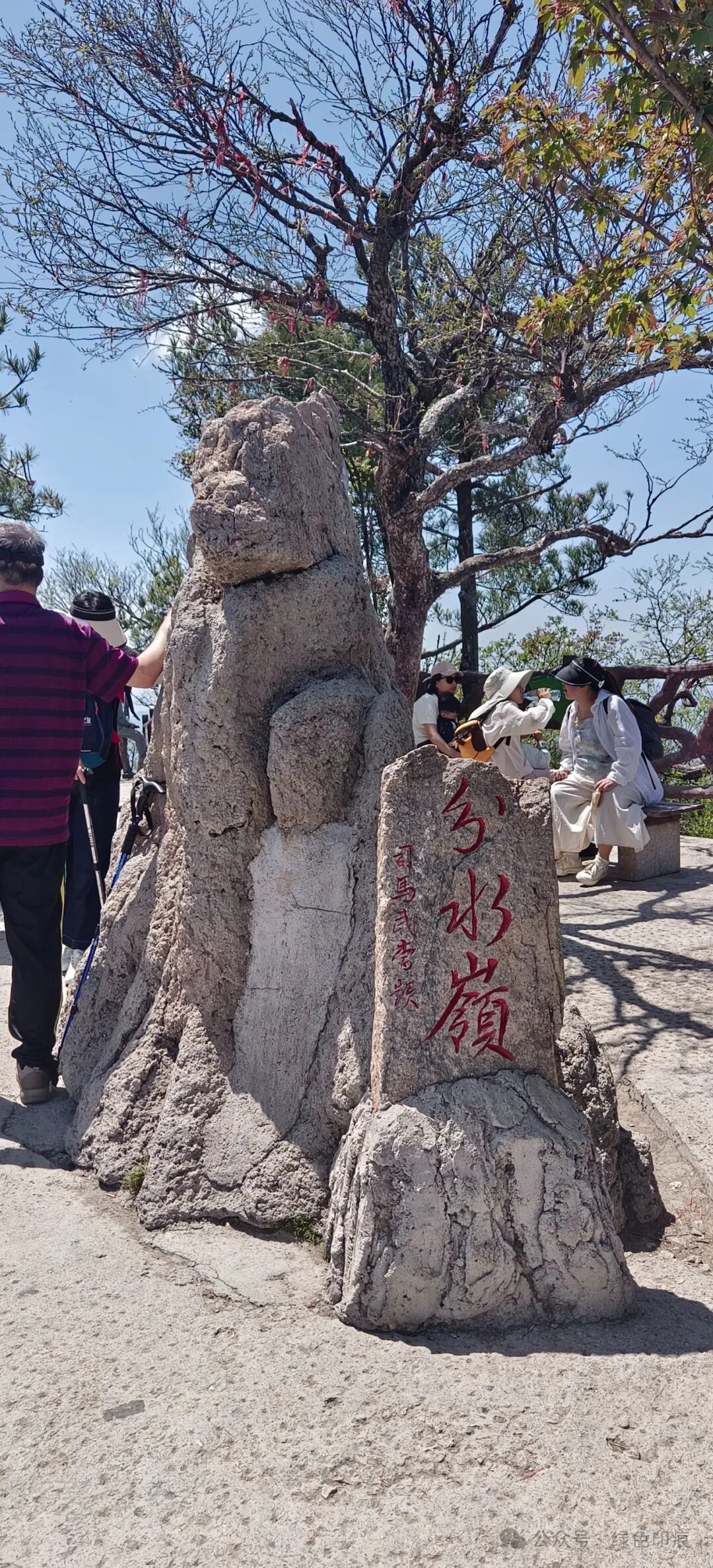 题写的"伏牛山主峰"五个红漆大字,下端隐约可见"海拔2217米"一行小字