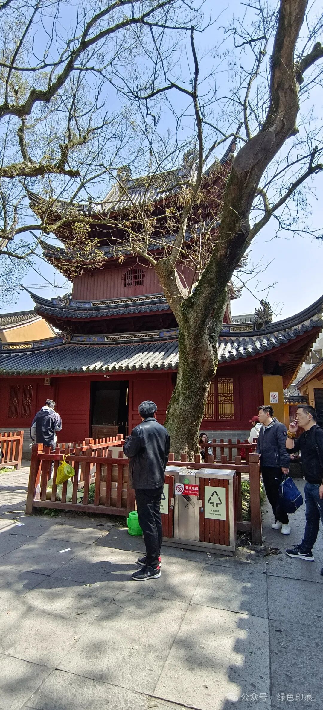 普陀山(上)——《桃花三月醉浙江》