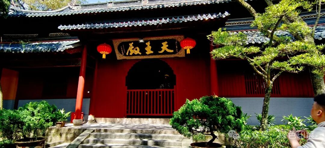 普陀山(上)——《桃花三月醉浙江》