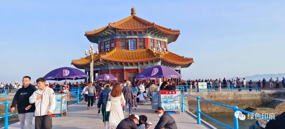 栈桥游走在山东