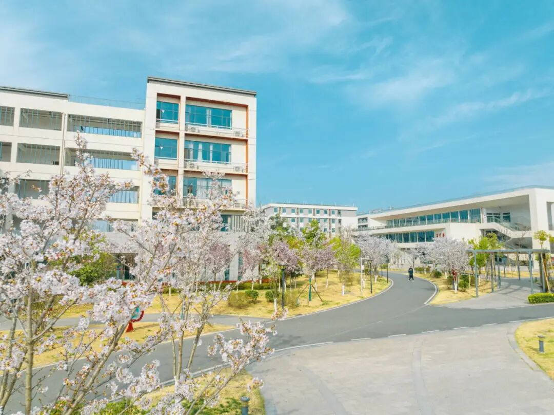 2024年襄阳四中樱花节校园开放日公告