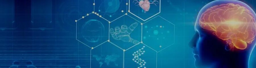 乐普心脏支架怎么样行业研究｜一文了解冠脉支架的前世今生_https://www.jmylbn.com_新闻资讯_第9张