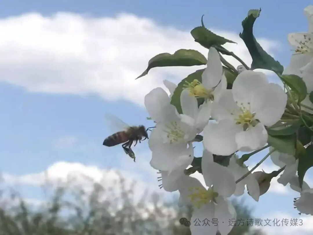 9559211e8f67f9b8ec5d3e459b383134.jpg