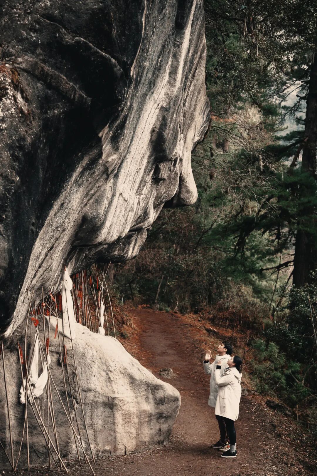 有直飞有高铁！花海美过新疆日本！这座小城凭什么荣登“春日旅行天花板”？