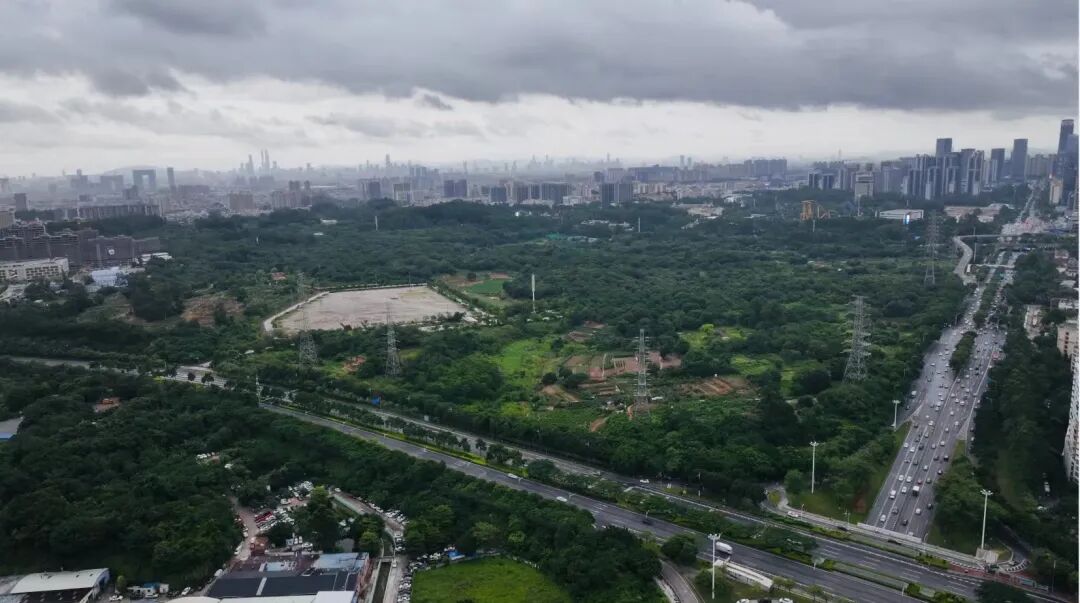 今年番禺将有12宗宅地出让，周边楼盘有哪些？