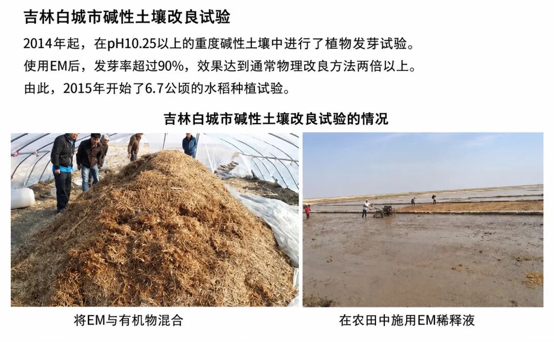 【配图1】吉林白城：EM与有机物混合及田间施用现场.jpg