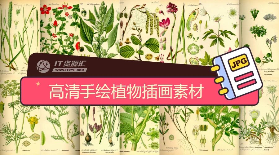 高清手绘花卉绿色植物图谱图鉴插画设计素材