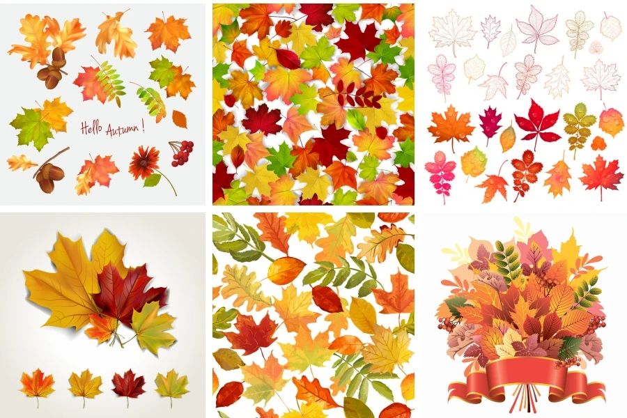 秋季金黄枫叶落叶装饰图案合集矢量设计素材