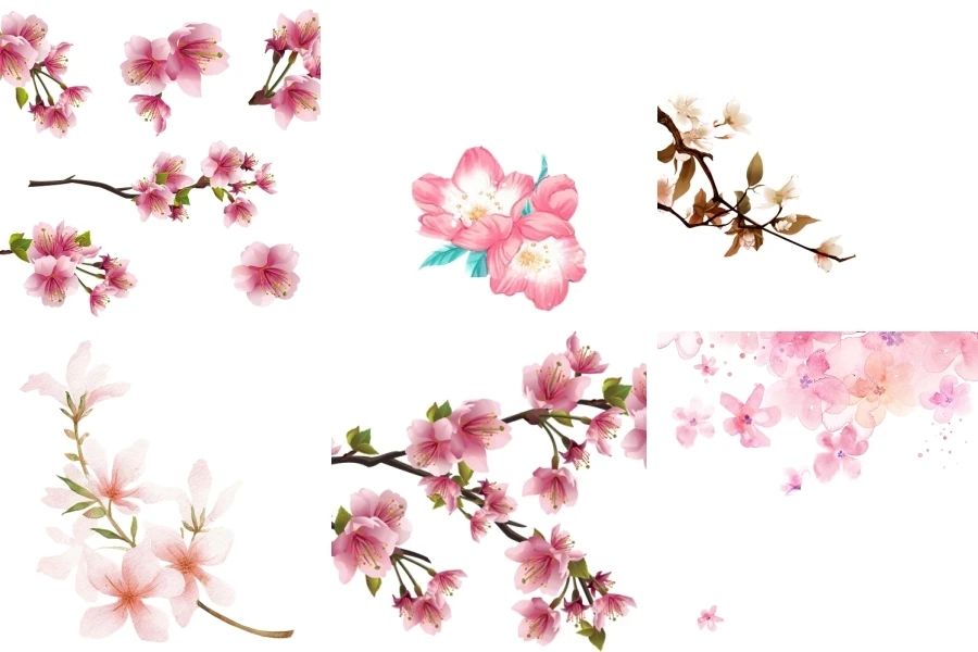 唯美桃花花瓣花枝插花PNG免抠设计素材