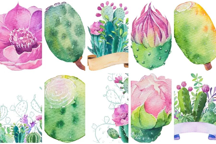 清新手绘水彩植物仙人掌盆栽AI矢量设计素材
