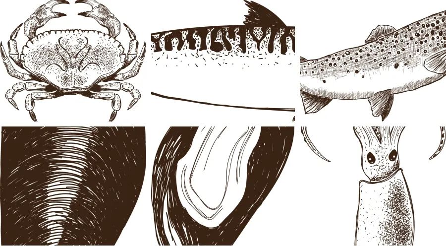 手绘素描海鲜鱼类铅笔画平面VI包装图案logo菜单设计印刷矢量素材