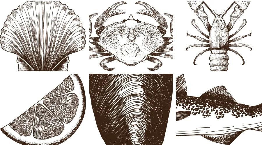 手绘素描海鲜鱼类铅笔画平面VI包装图案logo菜单设计印刷矢量素材