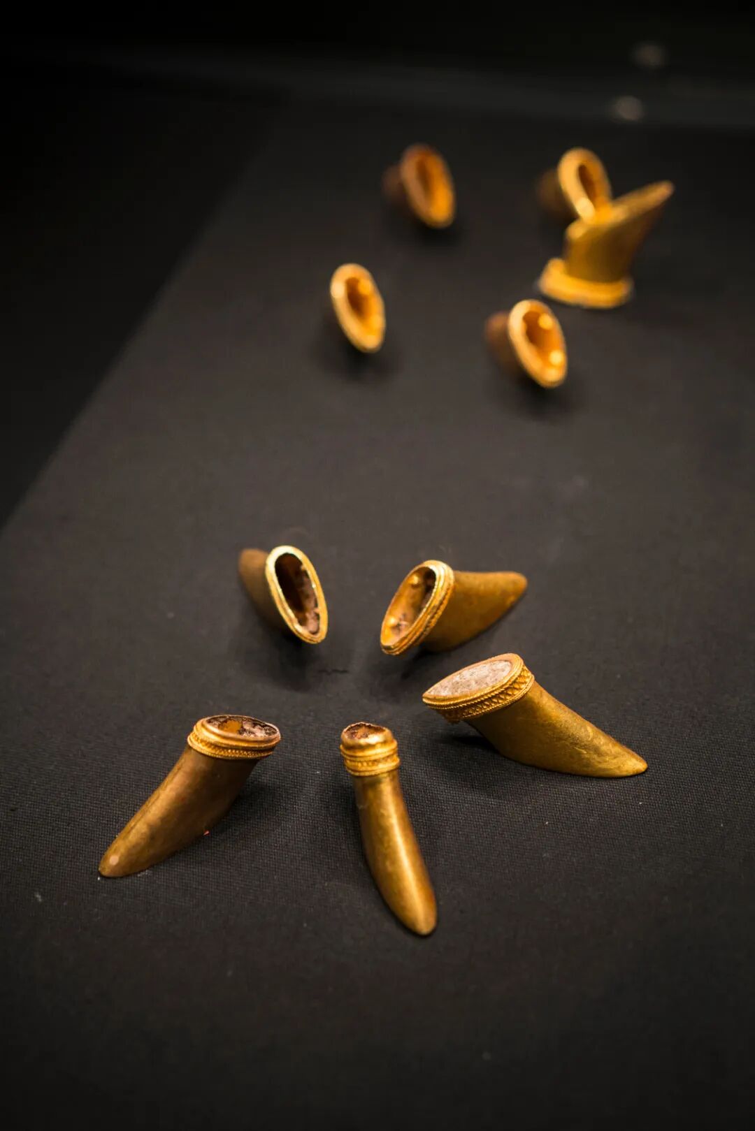 图源千图网南昌汉代海昏侯国遗址博物馆,位于江西省南昌市北部,鄱阳湖