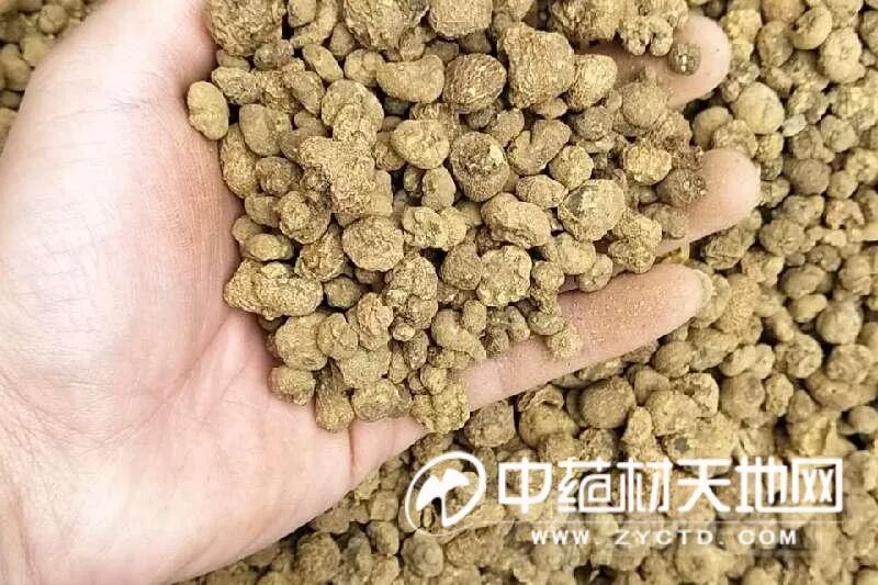延胡索减产但供大于求的状态难以改变