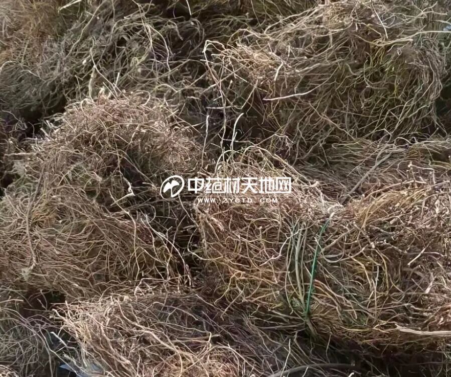 北豆根为何难起大的行情？