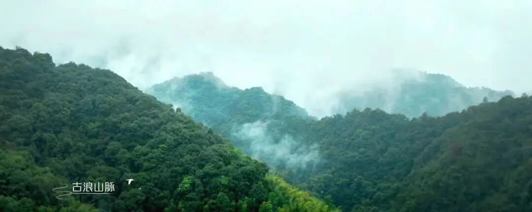 如果是你，你会在增城买1000万的别墅吗？