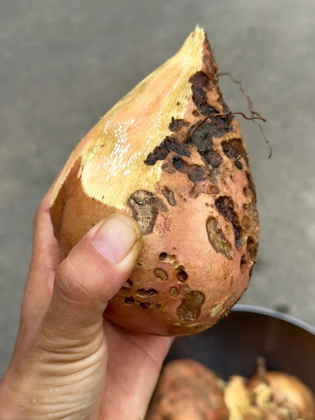 这些食品发霉立马丢掉