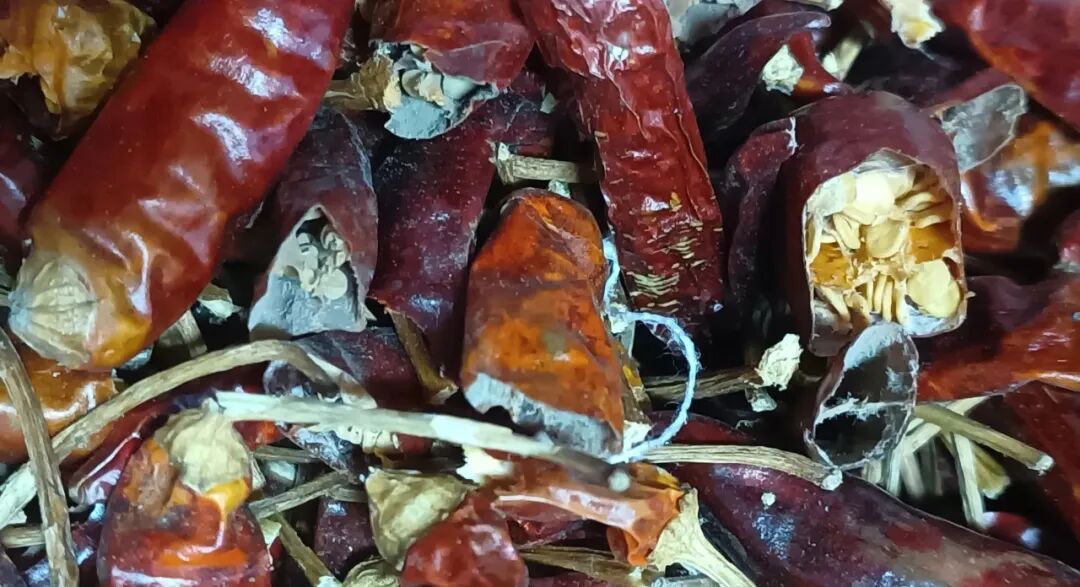 这些食品发霉立马丢掉