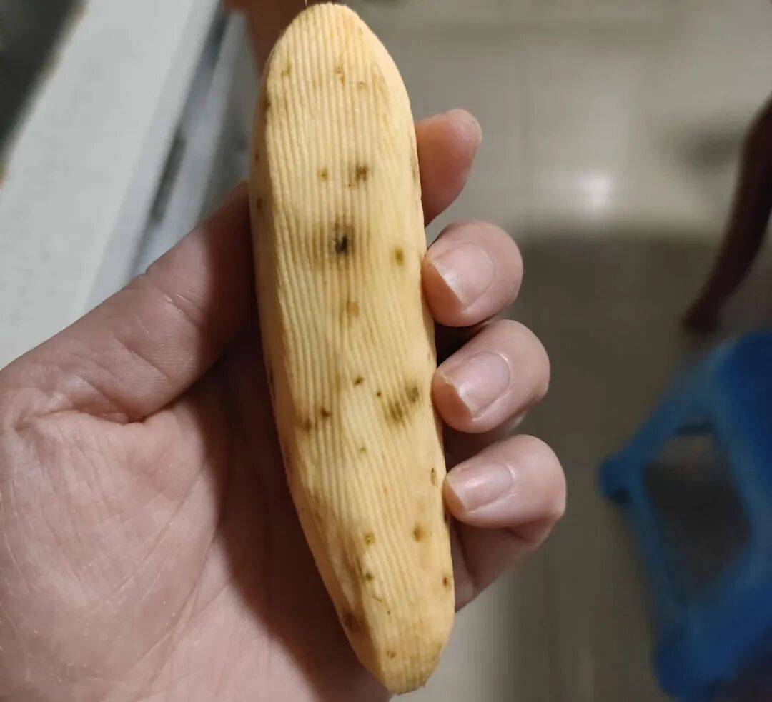 这些食品发霉立马丢掉