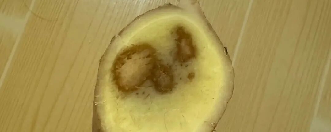 这些食品发霉立马丢掉