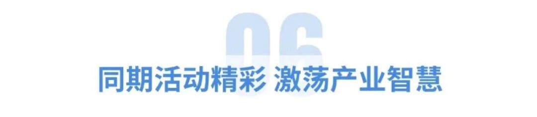 06.jpg