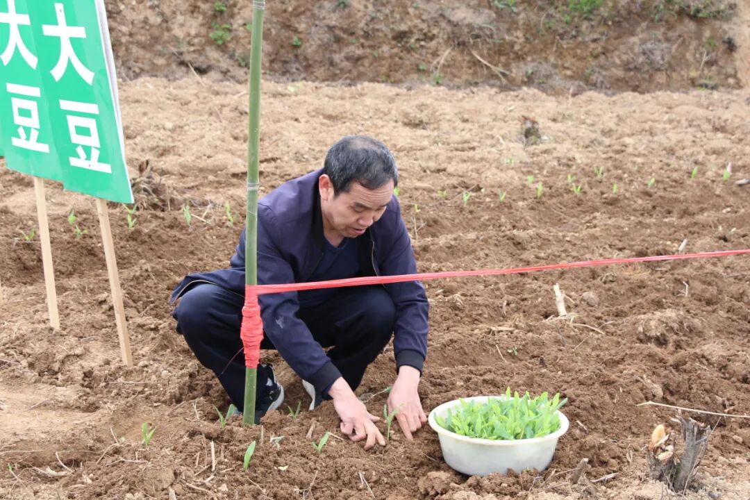 国荣乡召开2024年32大豆玉米带状复合种植现场培训会