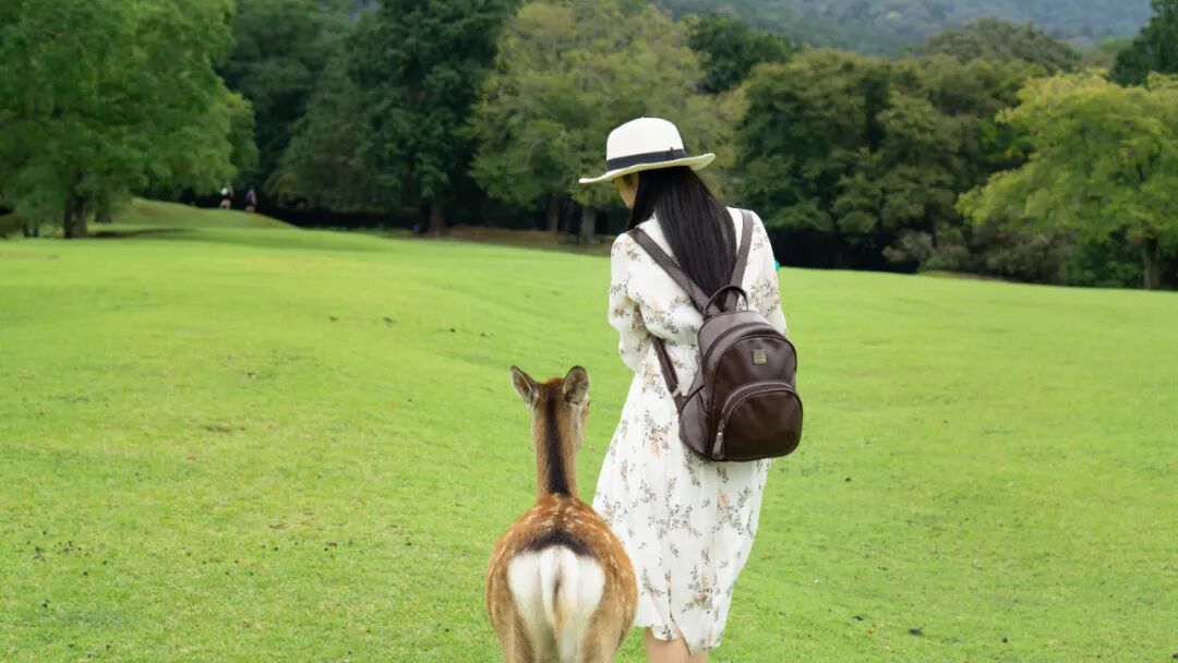 乳腺cr是什么29岁女性，肺癌转移到乳腺、后续转移全身……历经绝望后换药，仅3个月我CR了！_https://www.jmylbn.com_新闻资讯_第2张