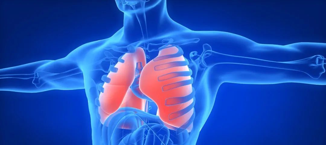 肺部结节 肺部结节