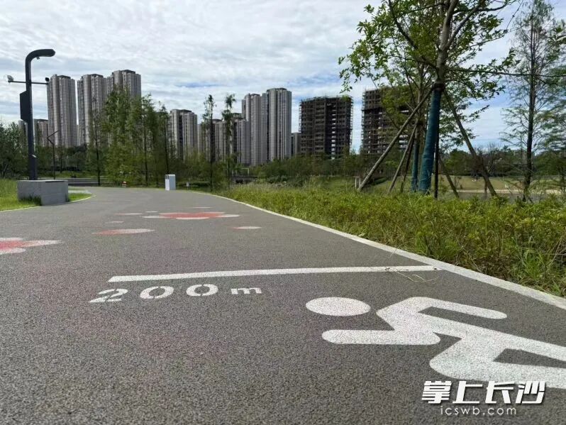塑胶环湖跑道，脚感格外柔软。长沙晚报全媒体记者 朱泽寰摄
