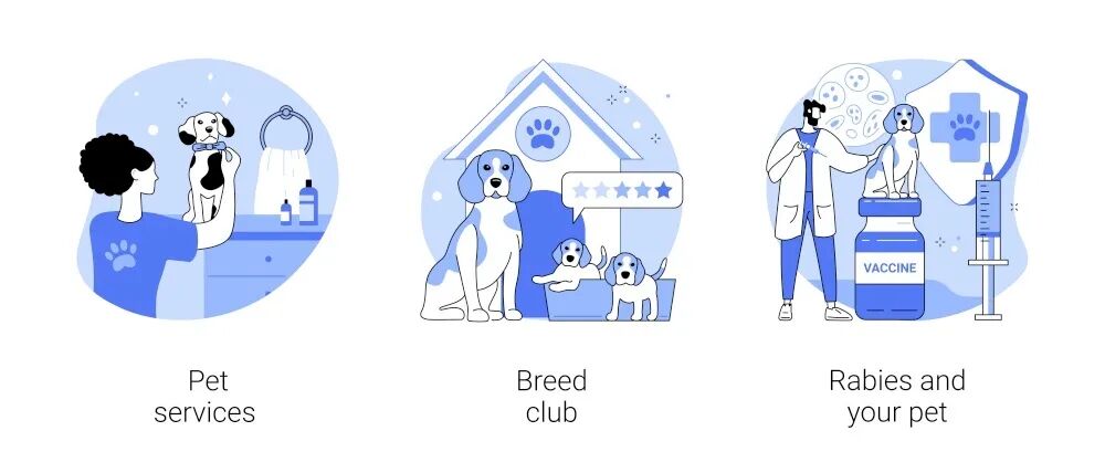 动物门诊用什么x光机健康暑期 ｜ 夏季动物“脾气大”，动物咬伤门诊来服务！_https://www.jmylbn.com_新闻资讯_第4张