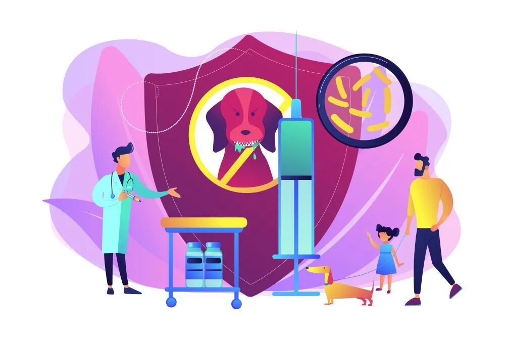 动物门诊用什么x光机健康暑期 ｜ 夏季动物“脾气大”，动物咬伤门诊来服务！_https://www.jmylbn.com_新闻资讯_第3张