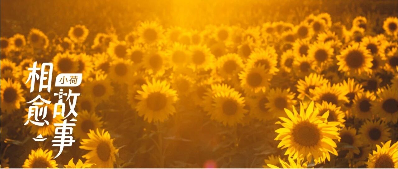 “27岁结肠癌晚期，在我患癌前有几个征兆”