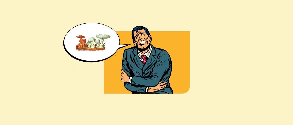 野生菌今年已经毒死12人，别再相信网上的辨别方法了