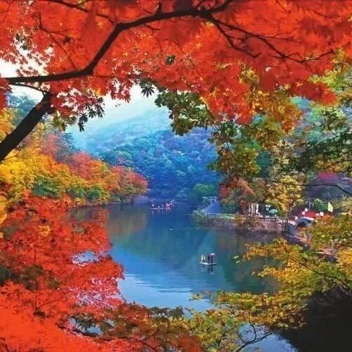 【大巴一日、两日游合集】本溪、丹东、锦州、千山、老边沟、红海滩、小布达拉、冰峪沟、龙潭湾、云盘古、李官温泉、天门山等