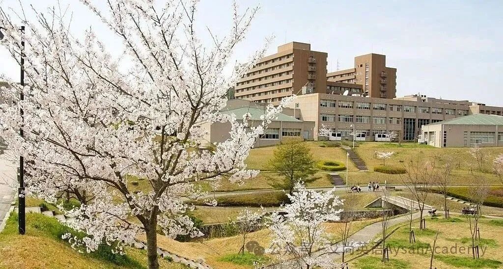 広島大学東広島キャンパスは実は桜の名所なんです。
