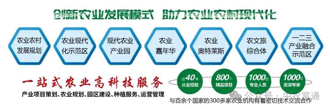 【研报】《中国农业展望报告(2024—2033)》未来10年