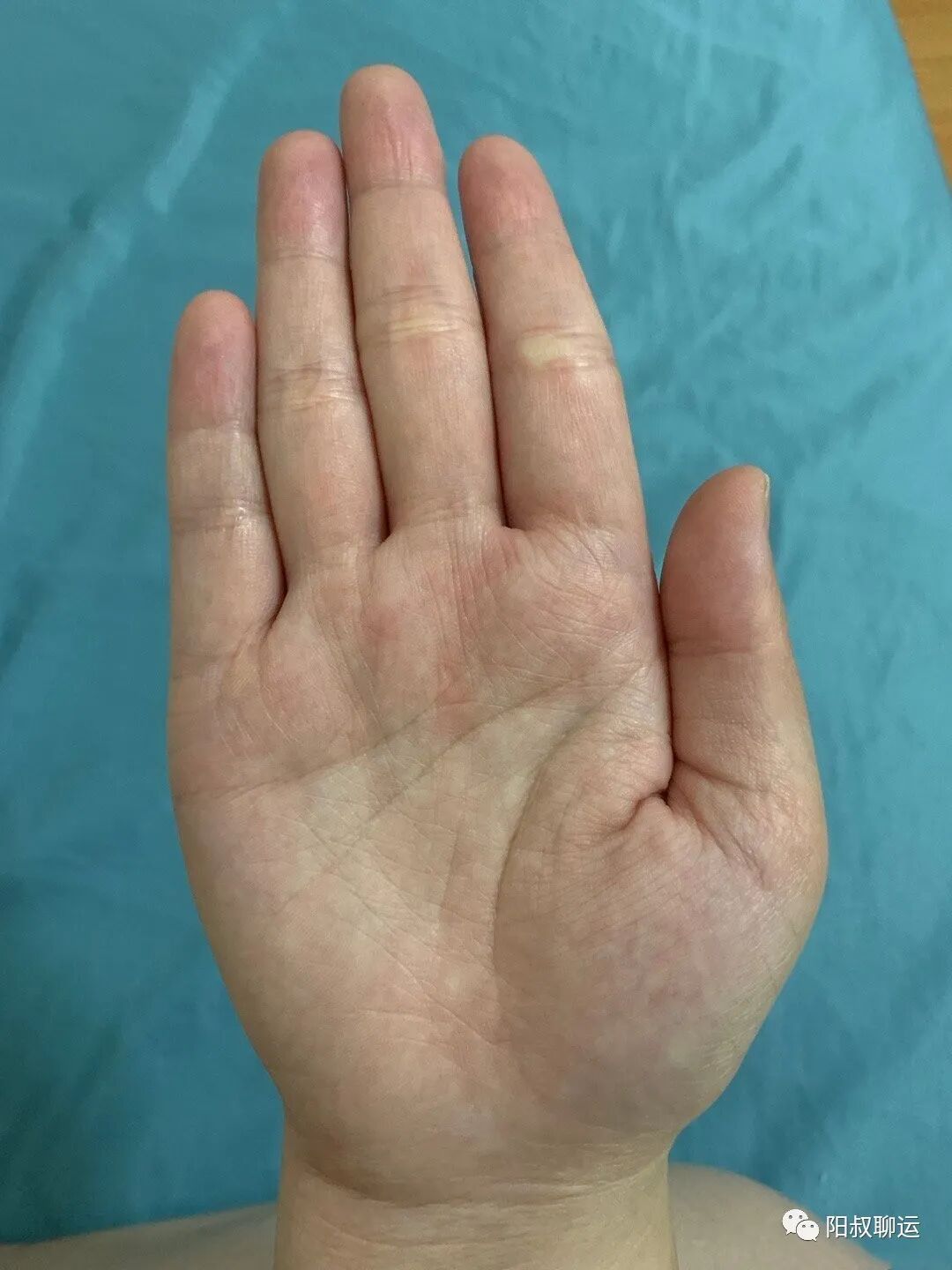 木型手掌的特点_木型手相_木型手