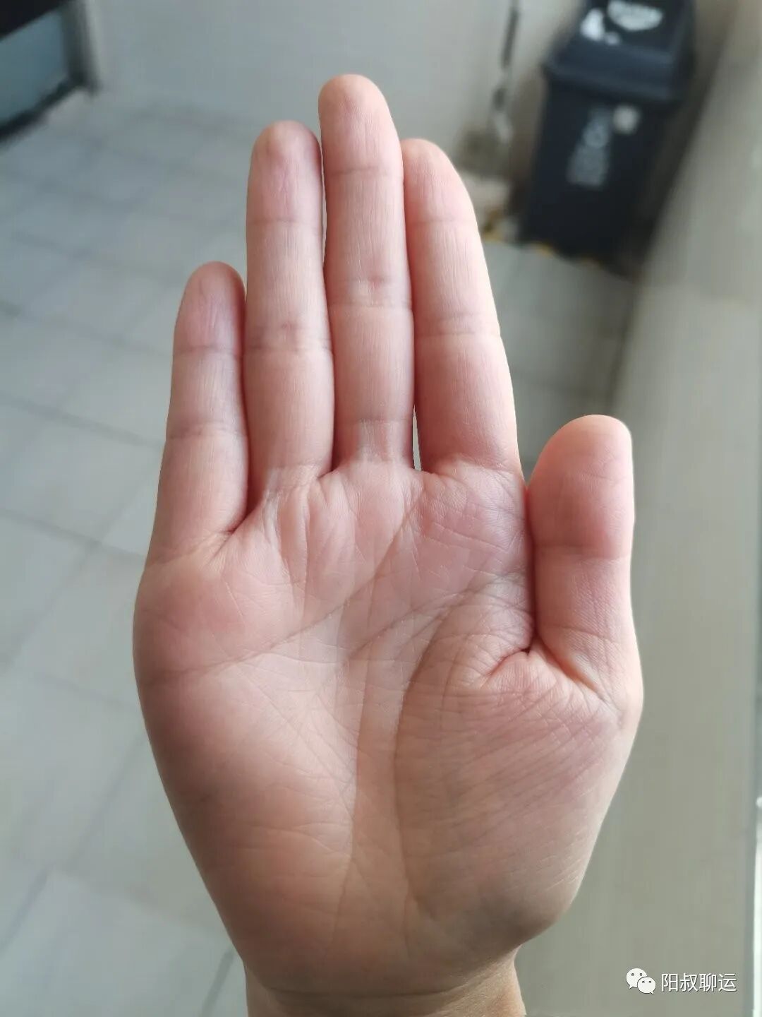 木型手相_木型手_木型手掌的特点