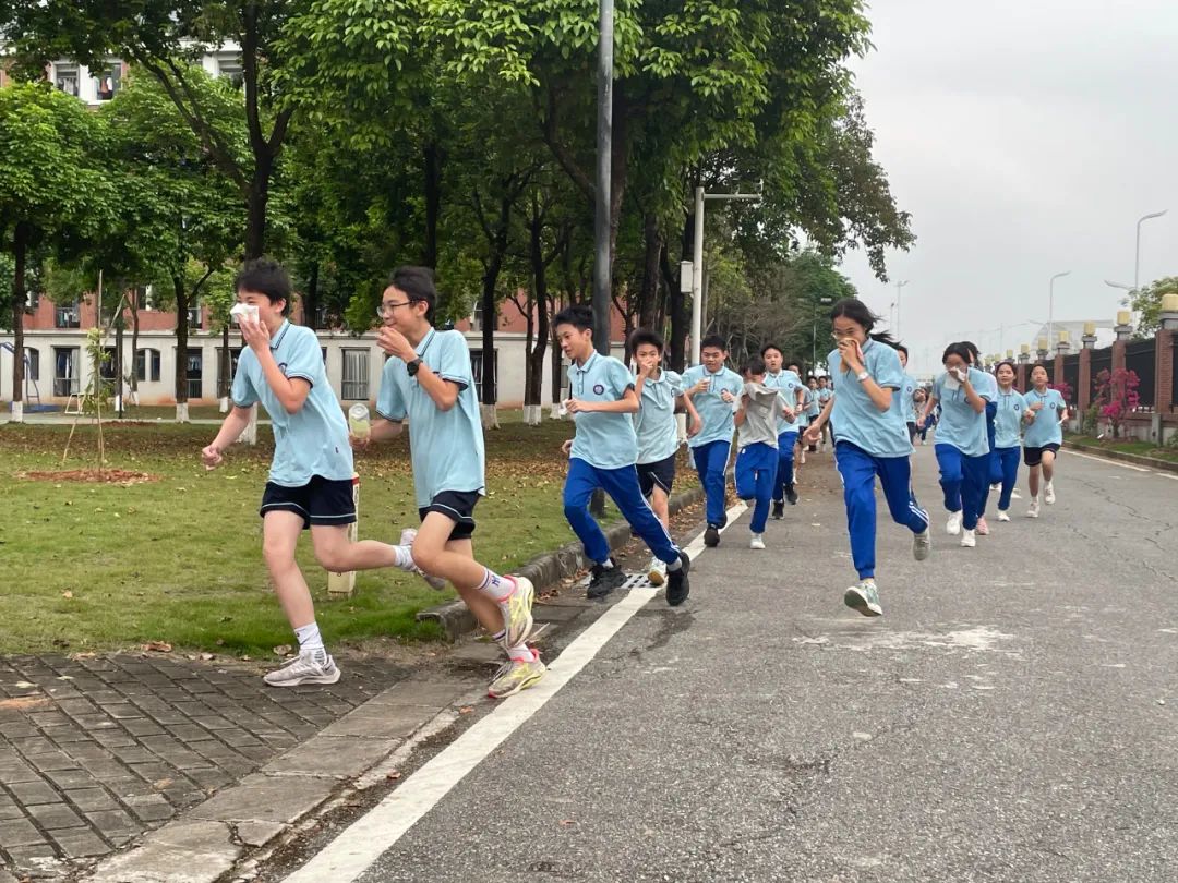 肇庆宣卿小学图片