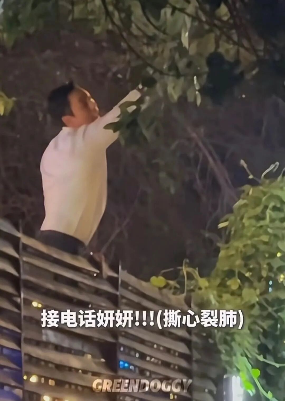 许我耀眼妍妍接电话名场面来了