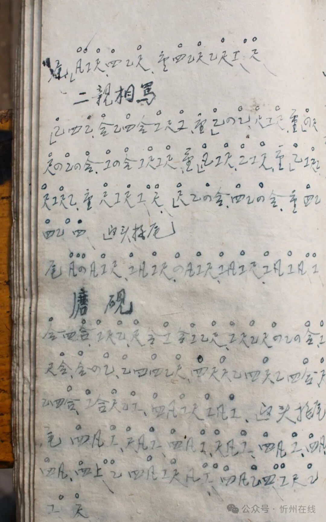 非遗忻府吹歌大王