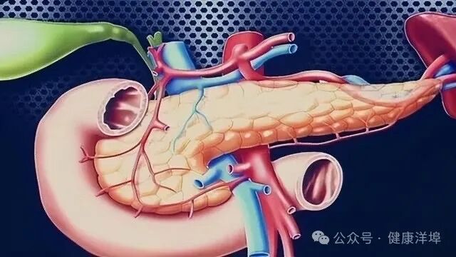 胰腺癌的病因及预防