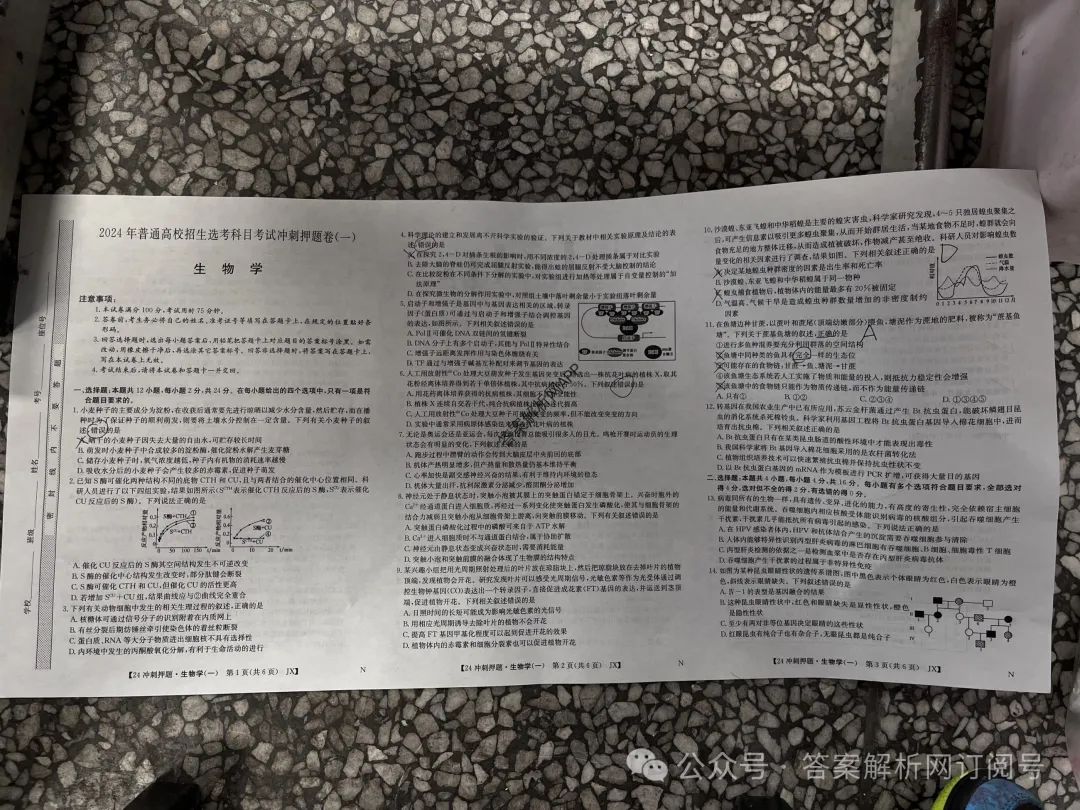 202o高考理综卷_202|年高考理综试卷_2024高考理综全国一卷